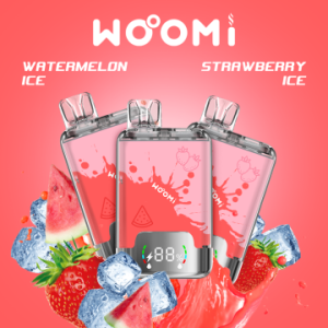 Woomi Disposable Vape Electronic Cigarette 25K Puff Digital Box Dual Flavor Tank 2 in 1 Vaper 25000 Puffs